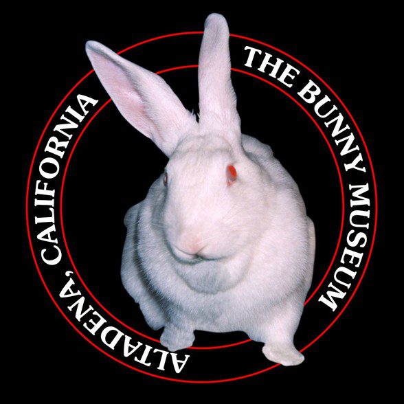 the bunny museum