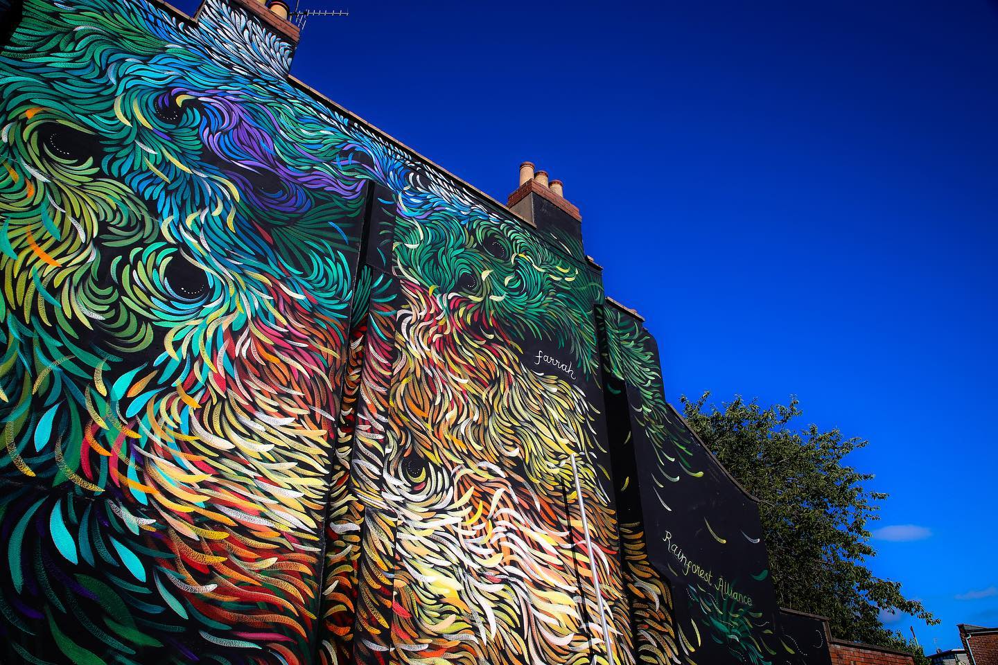 470539786_8833944406718619_557285958031228184_n Farrah Fortnam art on building