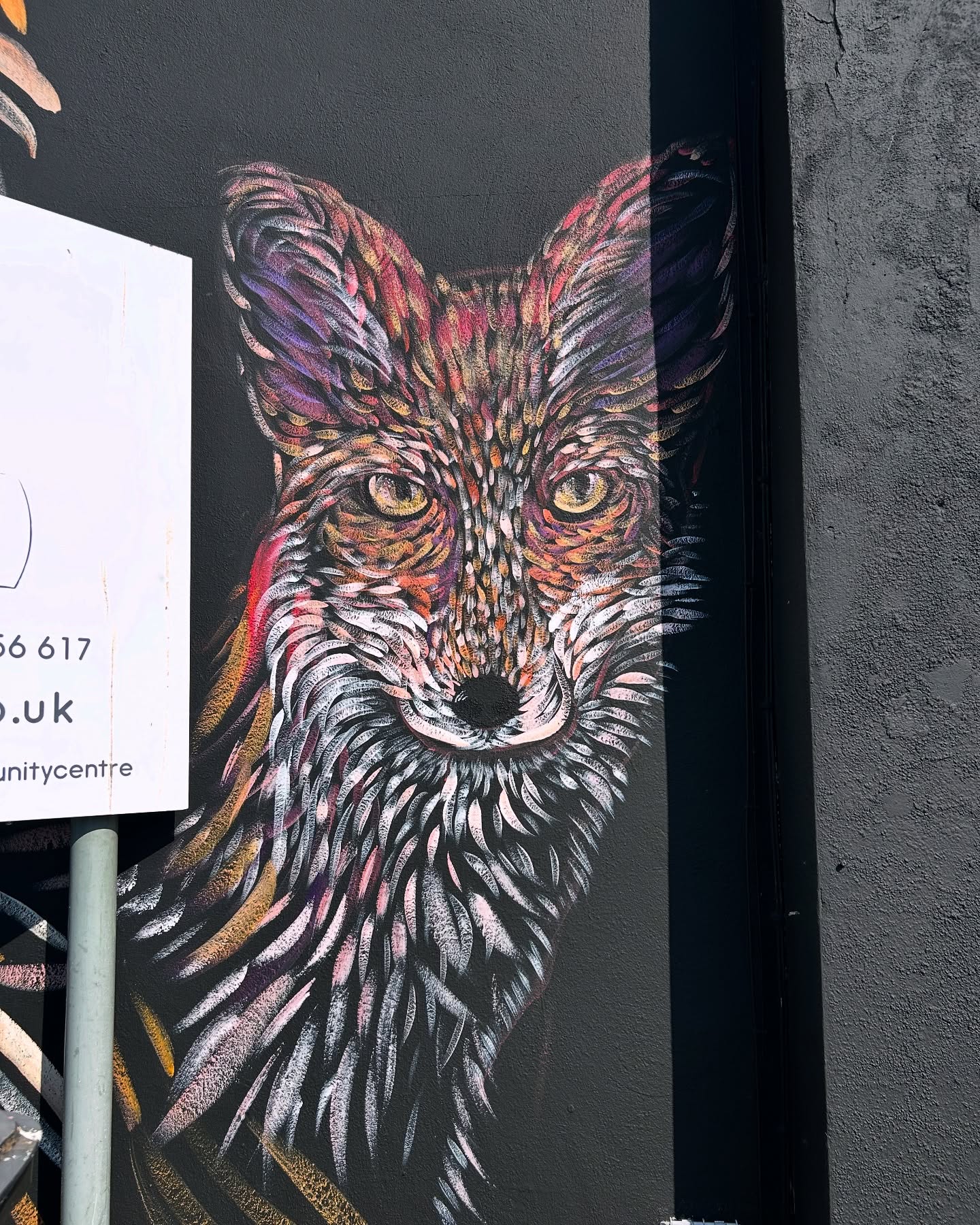 495141768_18082055539669687_9139660695143641564_n Farrah Fortnam artwork of fox
